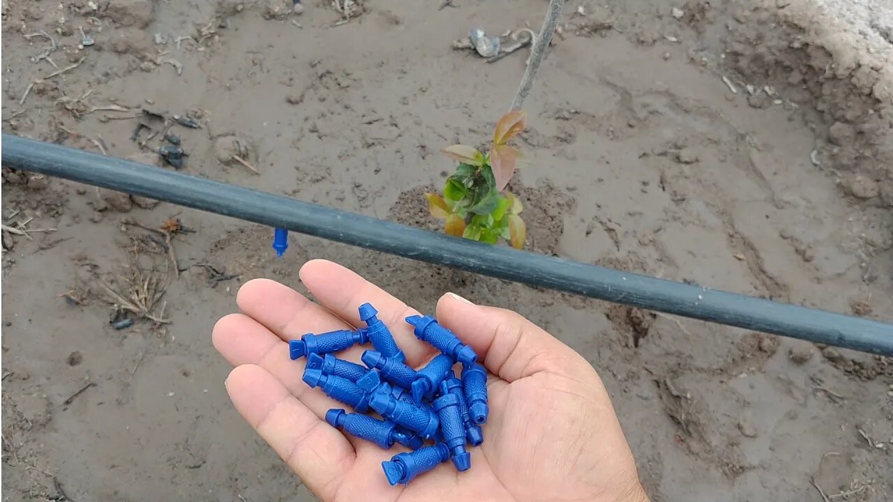 Irrigação das minhas plantas, gotejador ajustável Parte 2