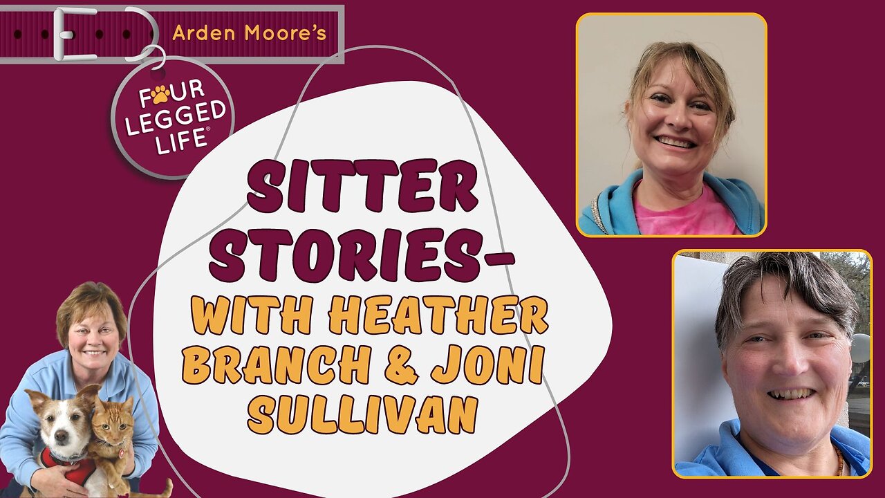 Sitter Stories!