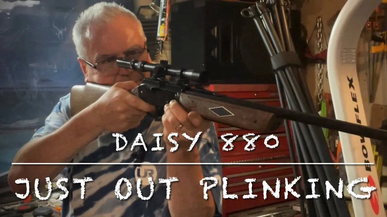 Daisy model 880 just out plinking. .177 multi pump pellet rifle