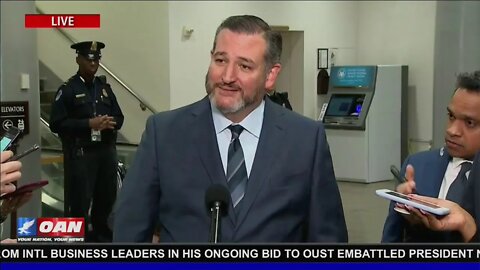 IMPEACHMENT DAY THREE: Cruz: House Democrats Have Inadvertently Thrown Joe Biden Under the Bus