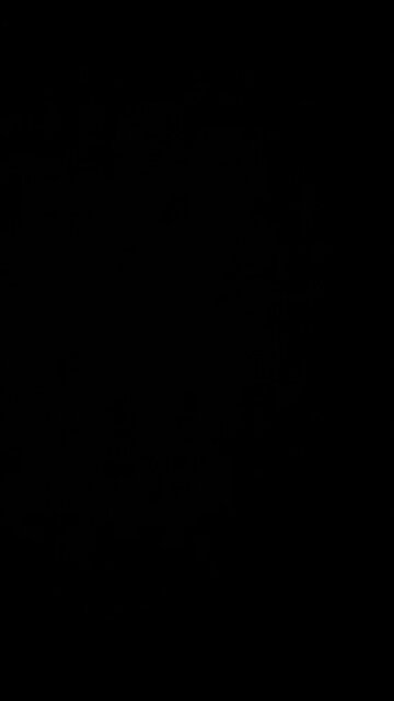 Bribery of crooked Joe