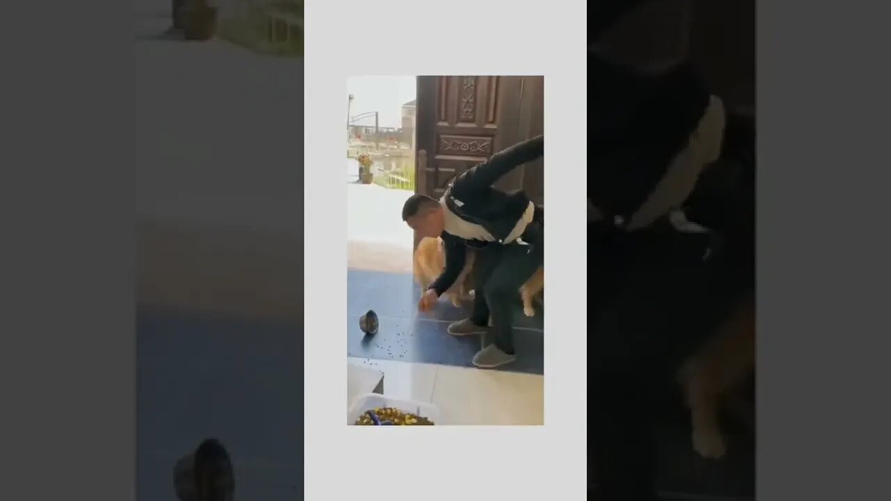 Don't mess with a dog and their food🤣🐕🐶