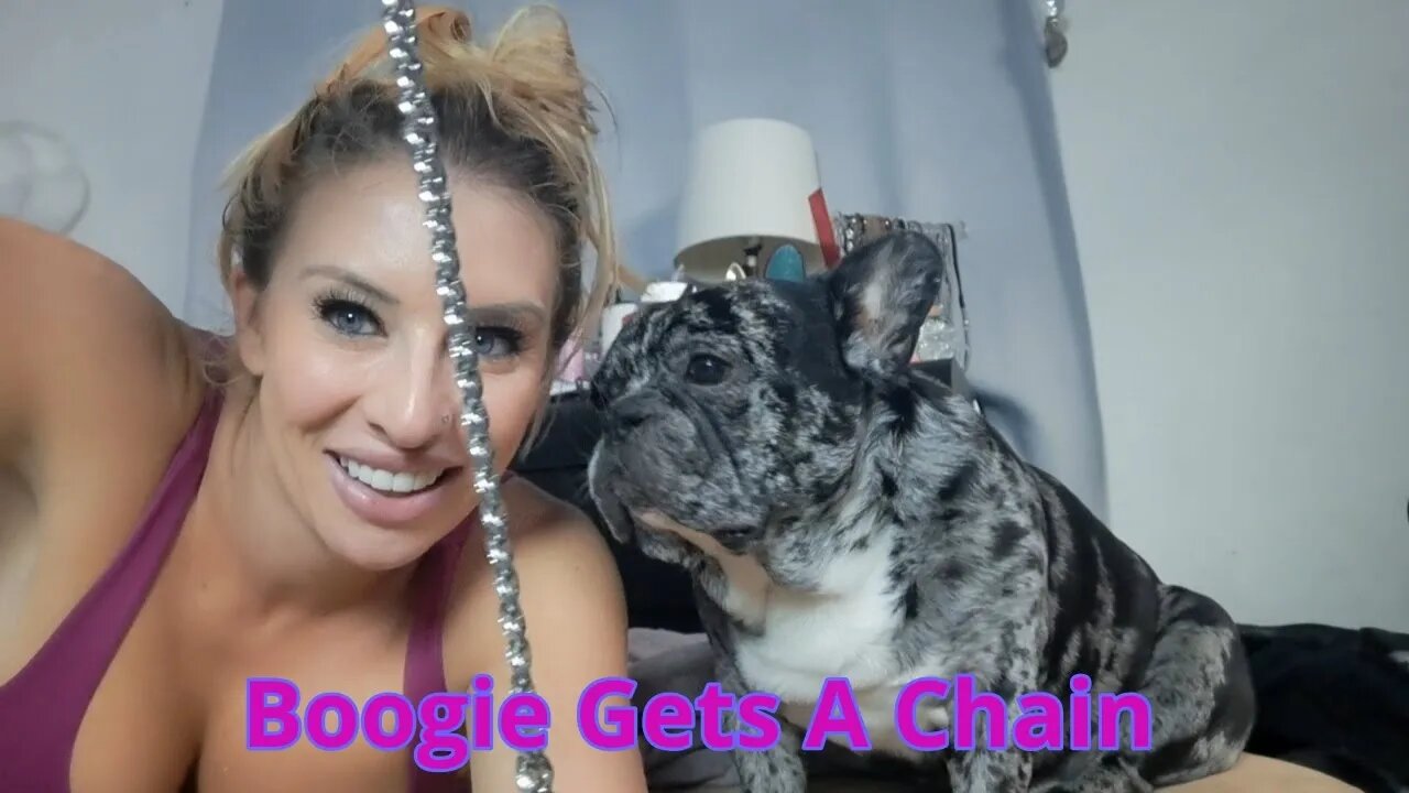 My Adorable Dogs And Boogie Gets Icy with a Chain