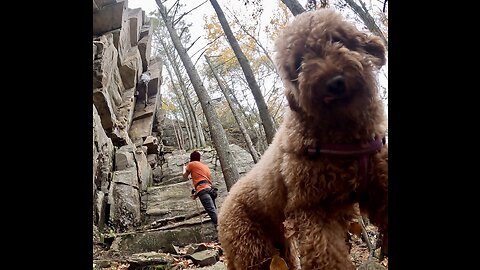 Rock climbing the Good Book with our Goldendoodle Sage.