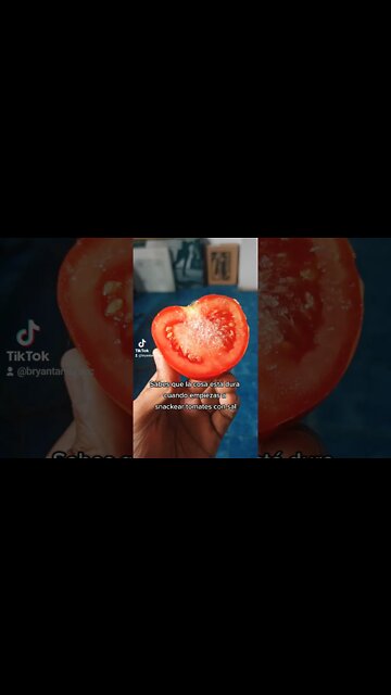 Sabes que el Déficit se Puso Duro Cuando Empiezas a Snackear Tomates con Sal 🙄