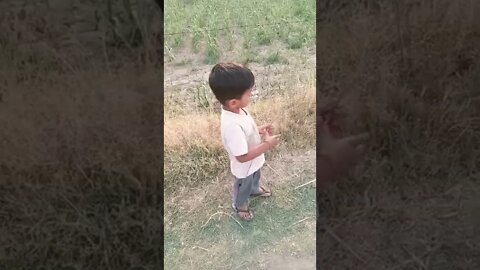 child support#rudrakrishna #ytshorts @rudrakhatanagurjjar