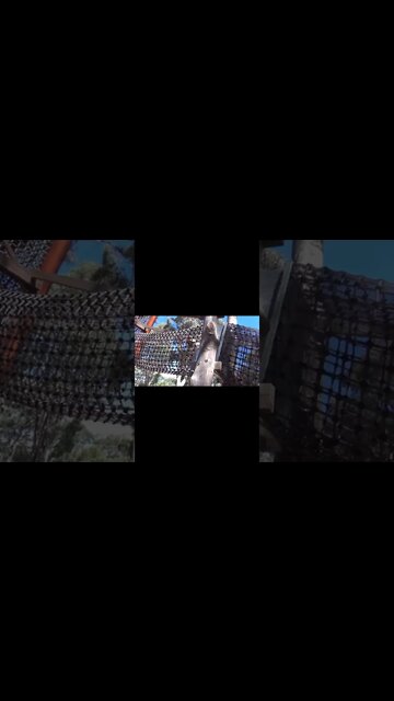 #Shorts At Our Local Playground Summer Fun especially on the Swing