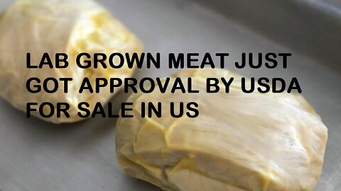 Lab Grown Meat Approved By The USDA To Now Be Sold In US.