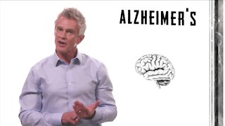 The Human gRace Project: Foods to help with cognitive function