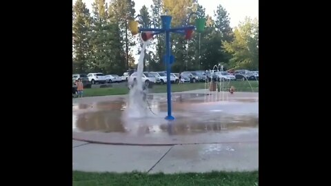 Because you want to see a doggy living its best life.