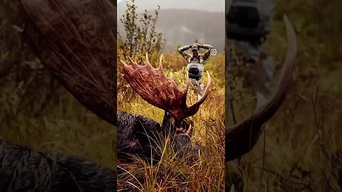 A feeling only hunters understand # #thefairchase #moose #britishcolumbia #canada