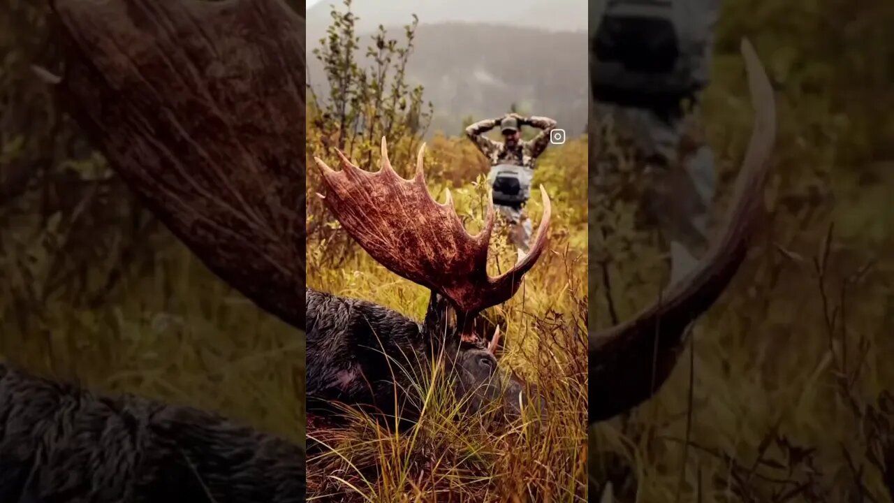 A feeling only hunters understand # #thefairchase #moose #britishcolumbia #canada