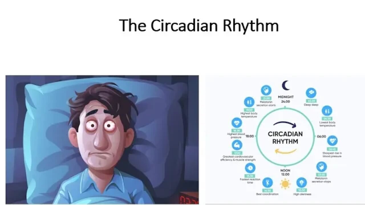 Circadian Rhythm - Sleep, Disease & Biological Age