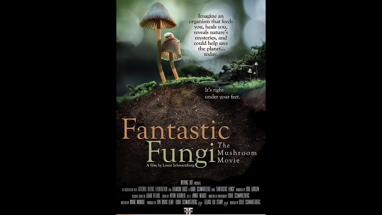 Fantastic Fungi (documentary)