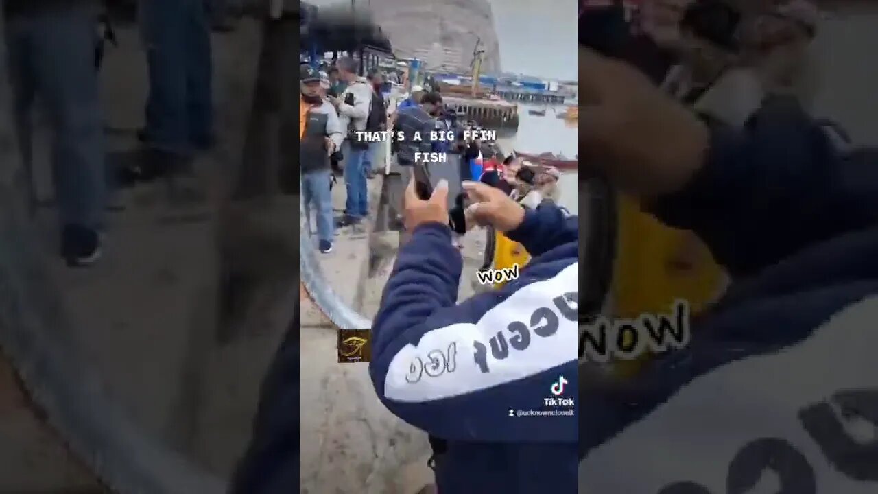 That's a big 🐟