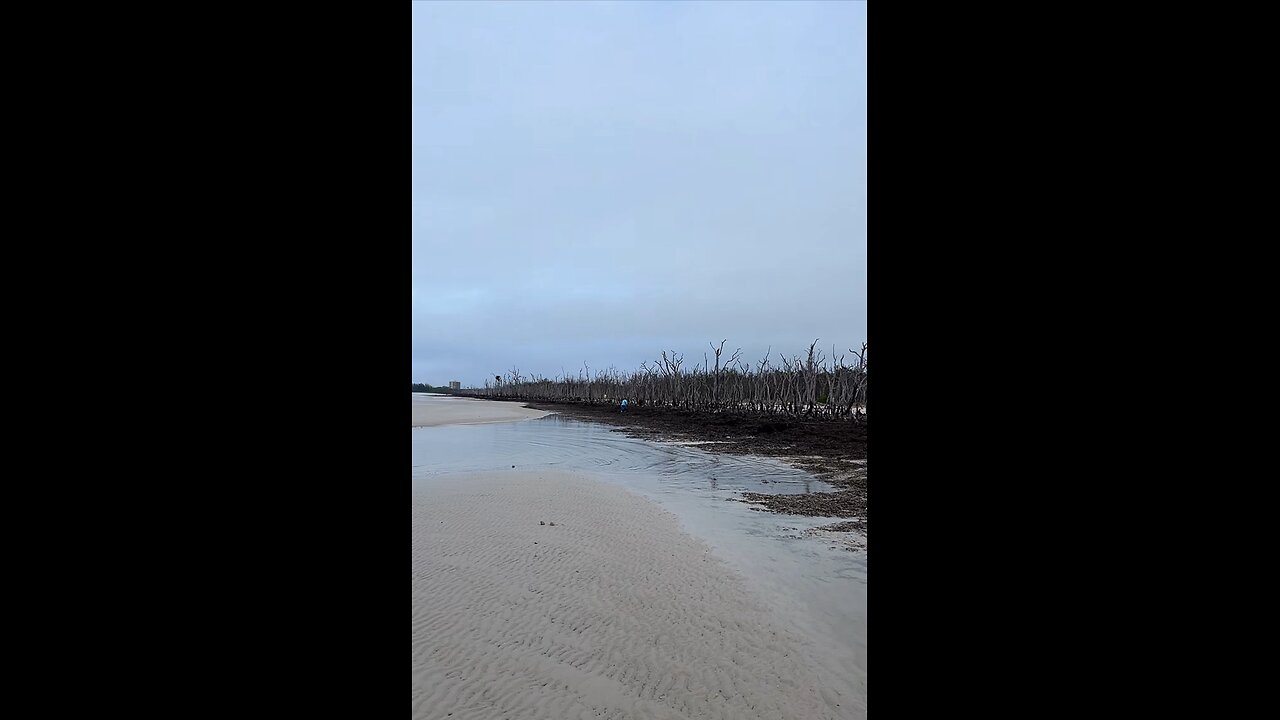 Livestream Replay - Kice Island Unguided Tour with swflshellguide