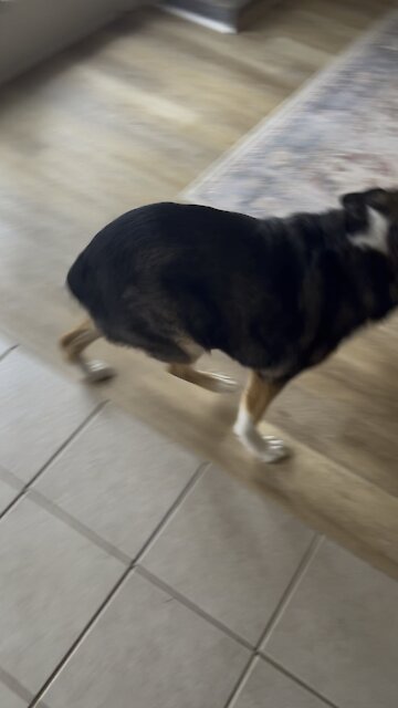 He does this every time I come home