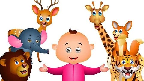 Animals video with original sound | Lion,sheep,parrot,elephant