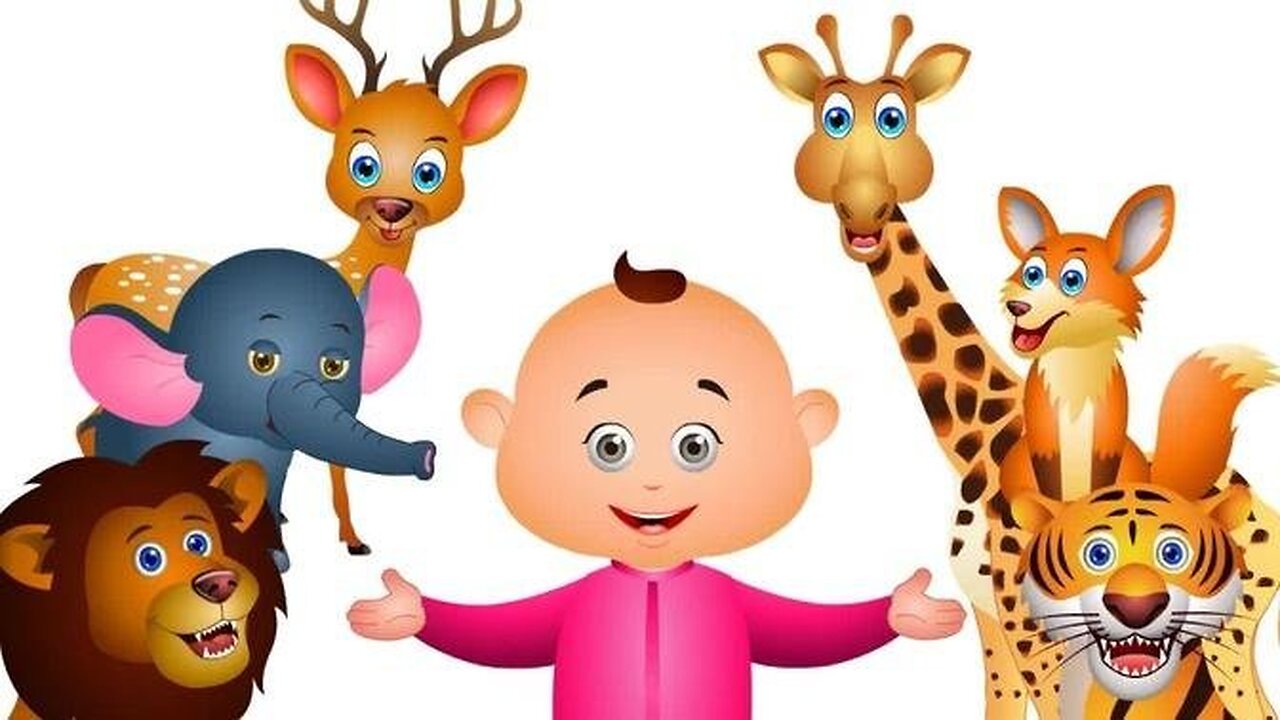 Animals video with original sound | Lion,sheep,parrot,elephant