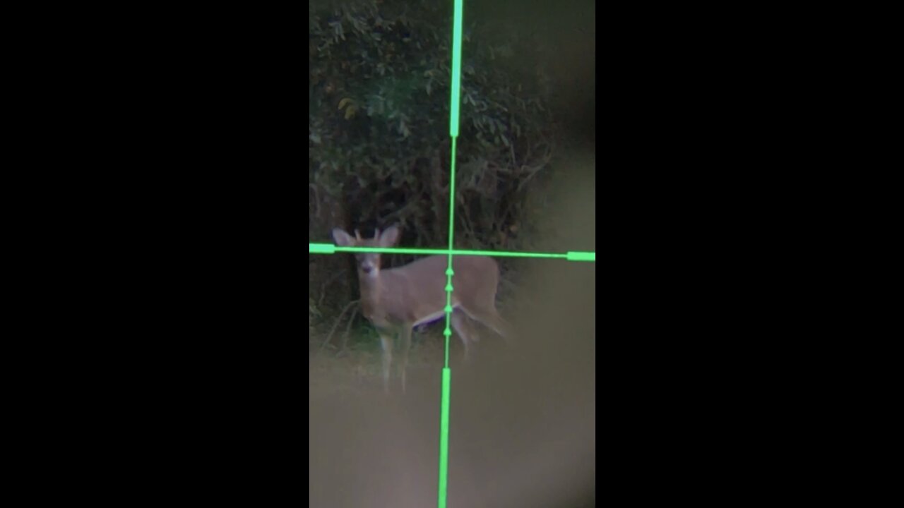 iScope Video – Spike Killed By Visually Challenged Hunter