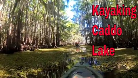 Kayak Trip to Caddo Lake