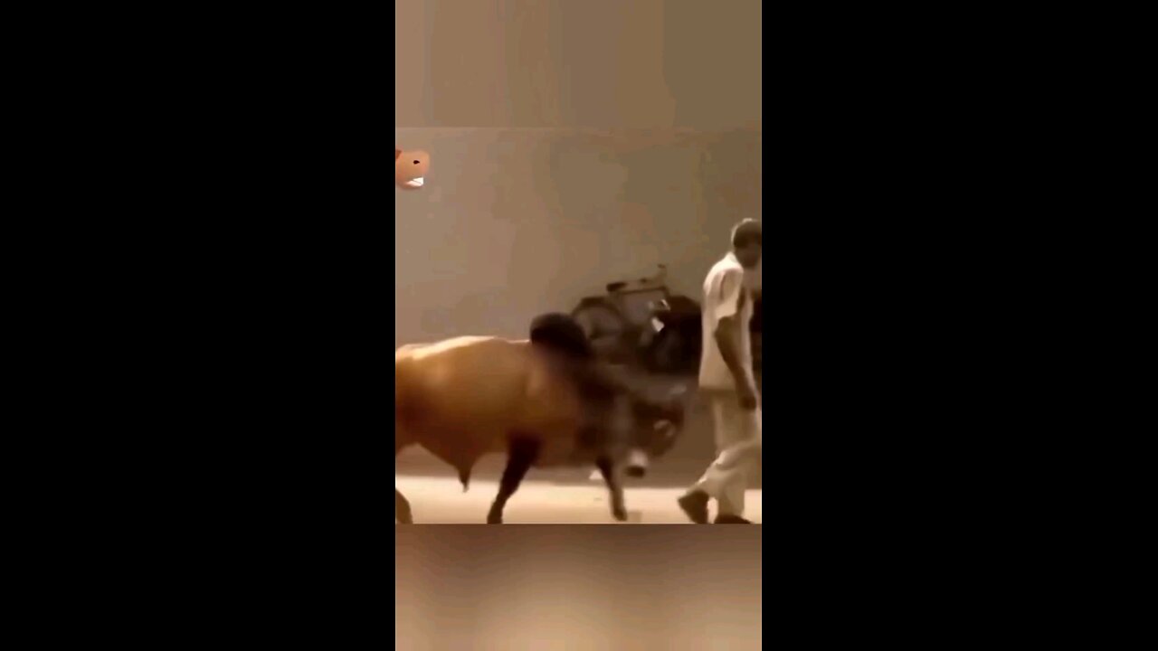 funny videos 🤣🤣😅