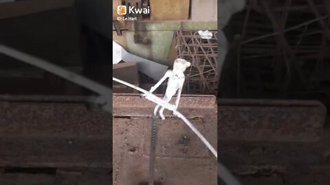 Equilíbrio 🇧🇷🇧🇷🇧🇷