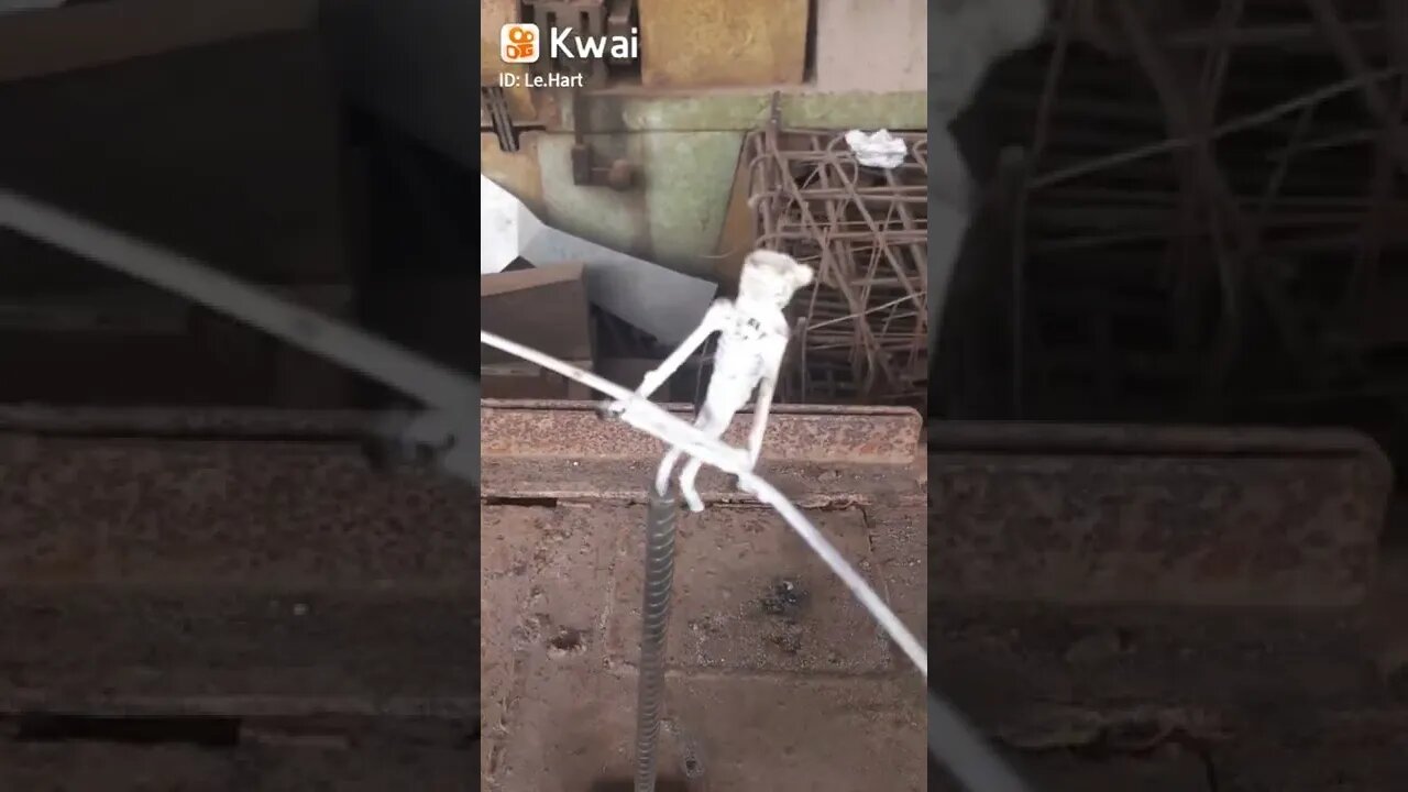 Equilíbrio 🇧🇷🇧🇷🇧🇷