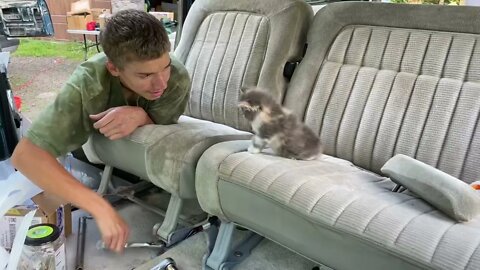 CUTE KITTEN GETS IN ON Suburban seat change.