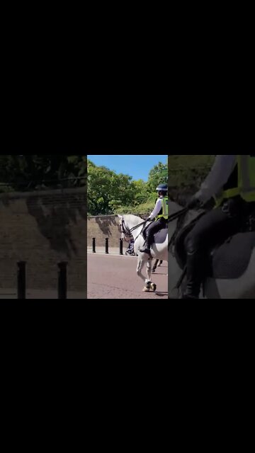 Dont follow the Horse #metpolice