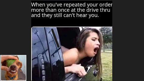 Memes That Will 99.849% Make You Laugh. (e74)