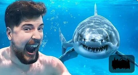 MrBeast,Would You Swim With Sharks For $100,000?