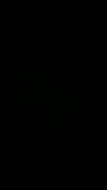 Tesla’s core socialist values