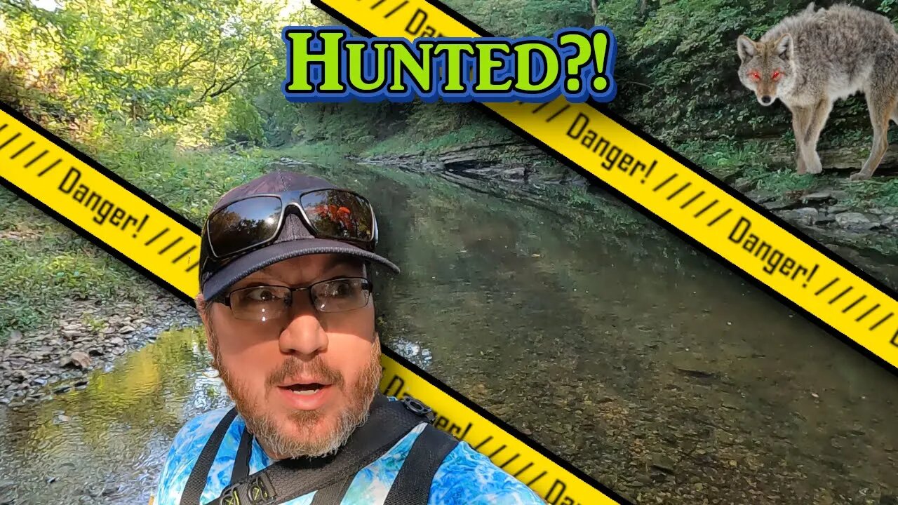 DANGER in the Creek! Multi-Species Fishing with 2" Grubs