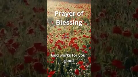 Prayer of Blessing #shorts