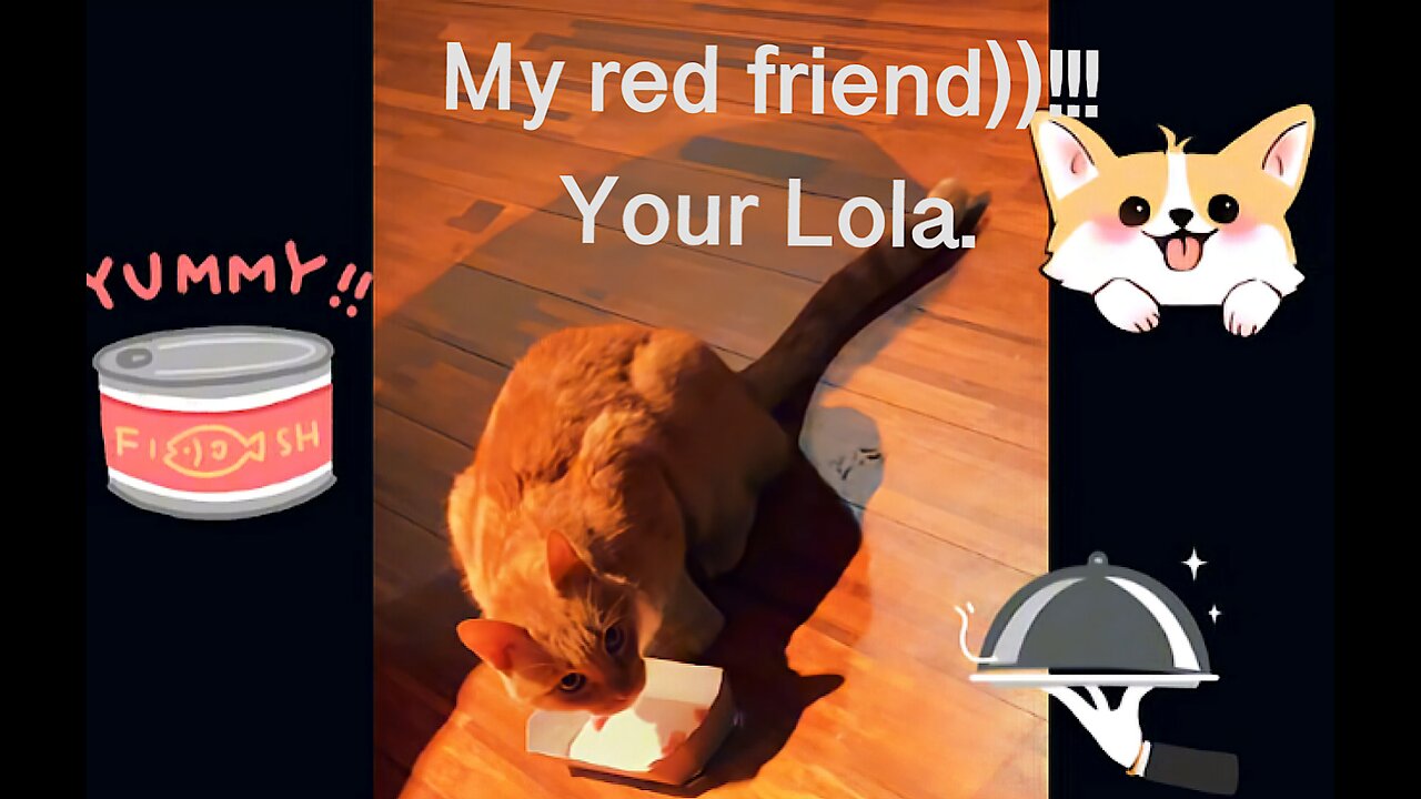 When you’re a red dog corgi and you have red friends))) )))