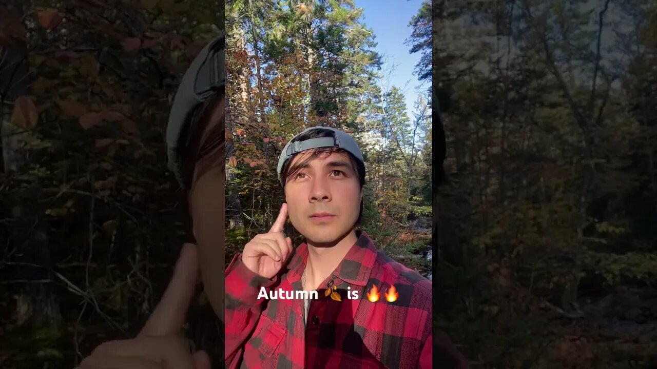 Autumn is Fire