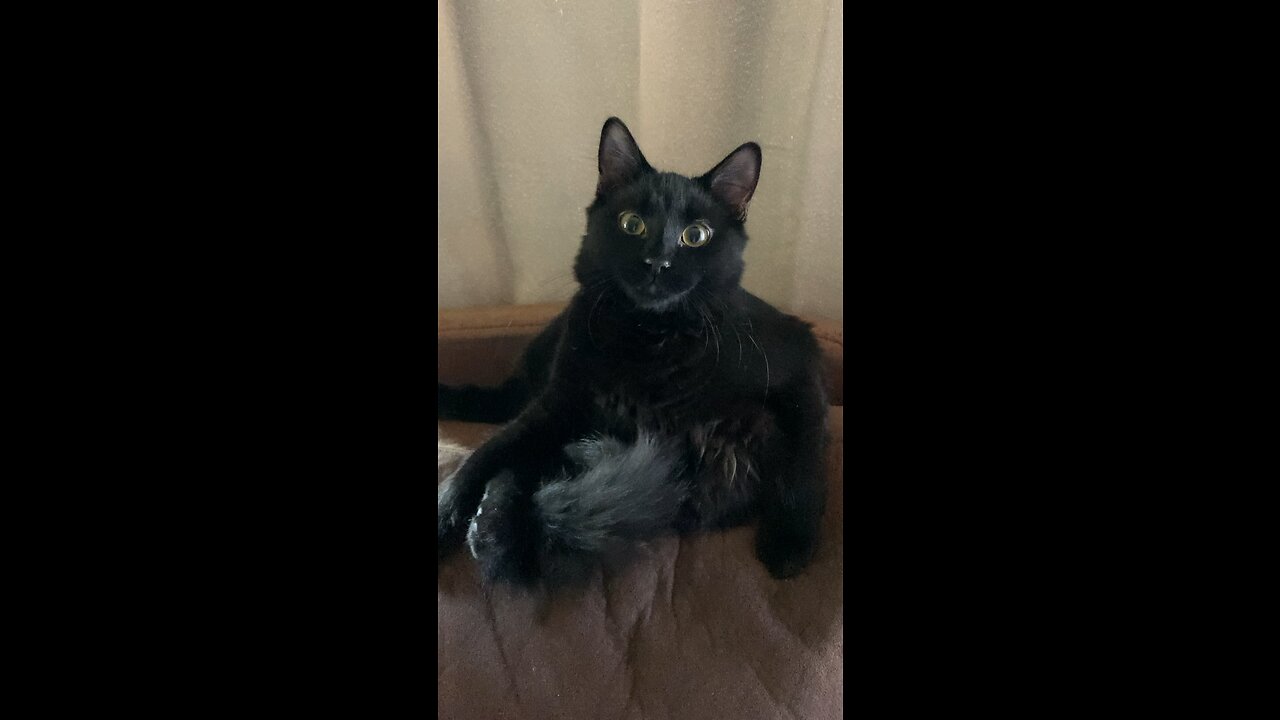 I sit on my butt like I’m human