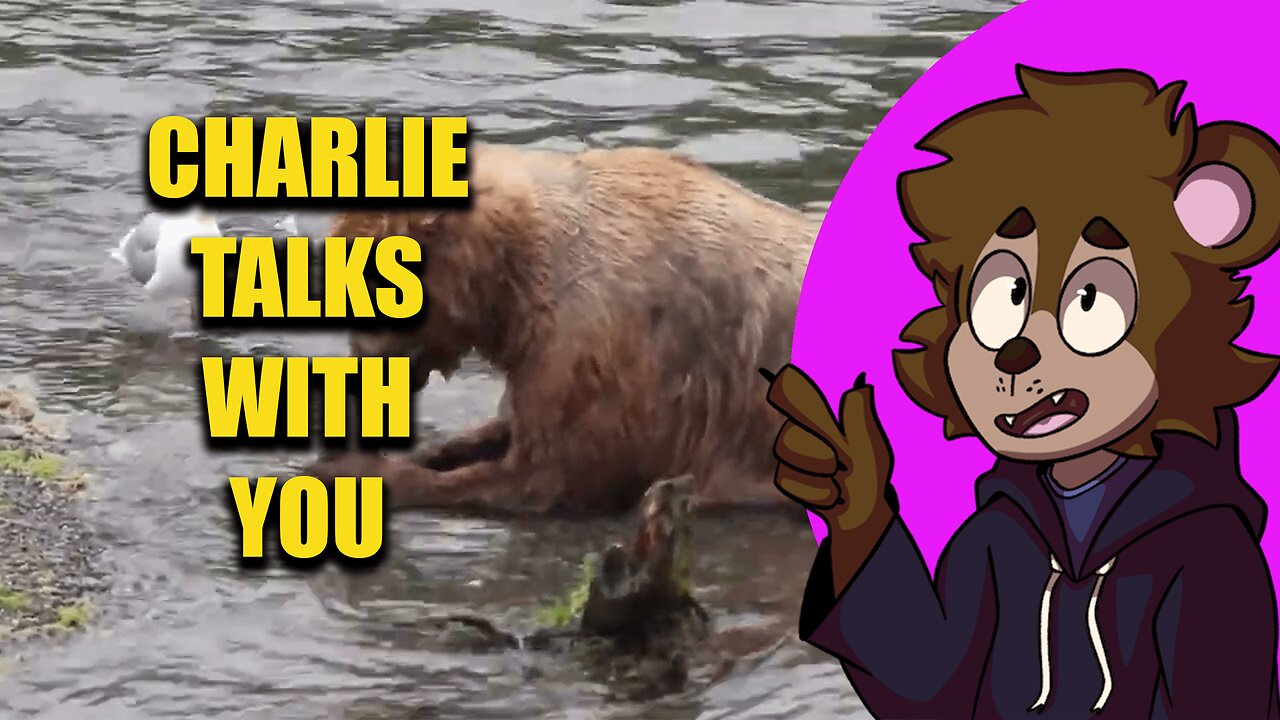 A Beare Talks To You About Joe Perra