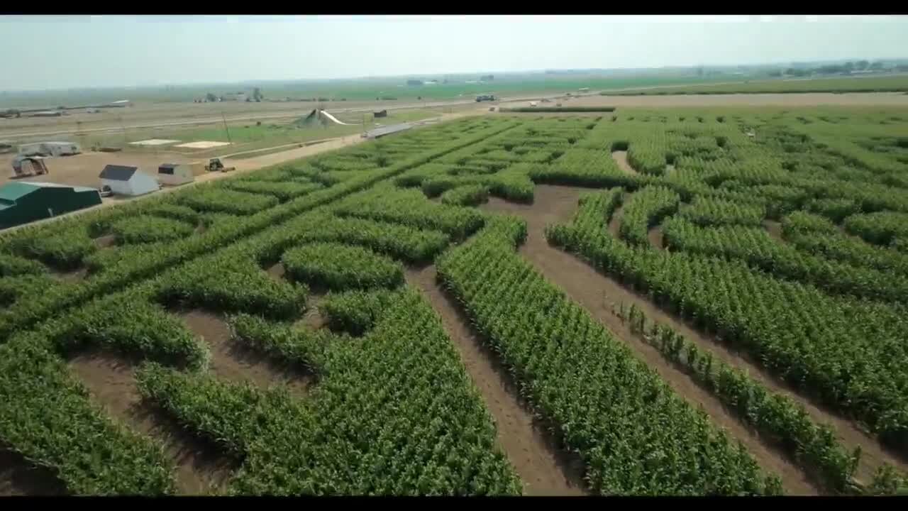 Take a flight through the Fritzler Farm Park corn maze honoring 9/11 victims