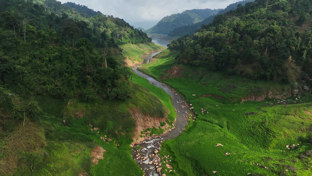 Beauty of green land