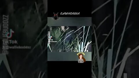 CHUPACABRA