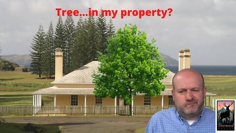 There’s a tree in my property ….. Deerwood Realty and Friends…Ep. 37