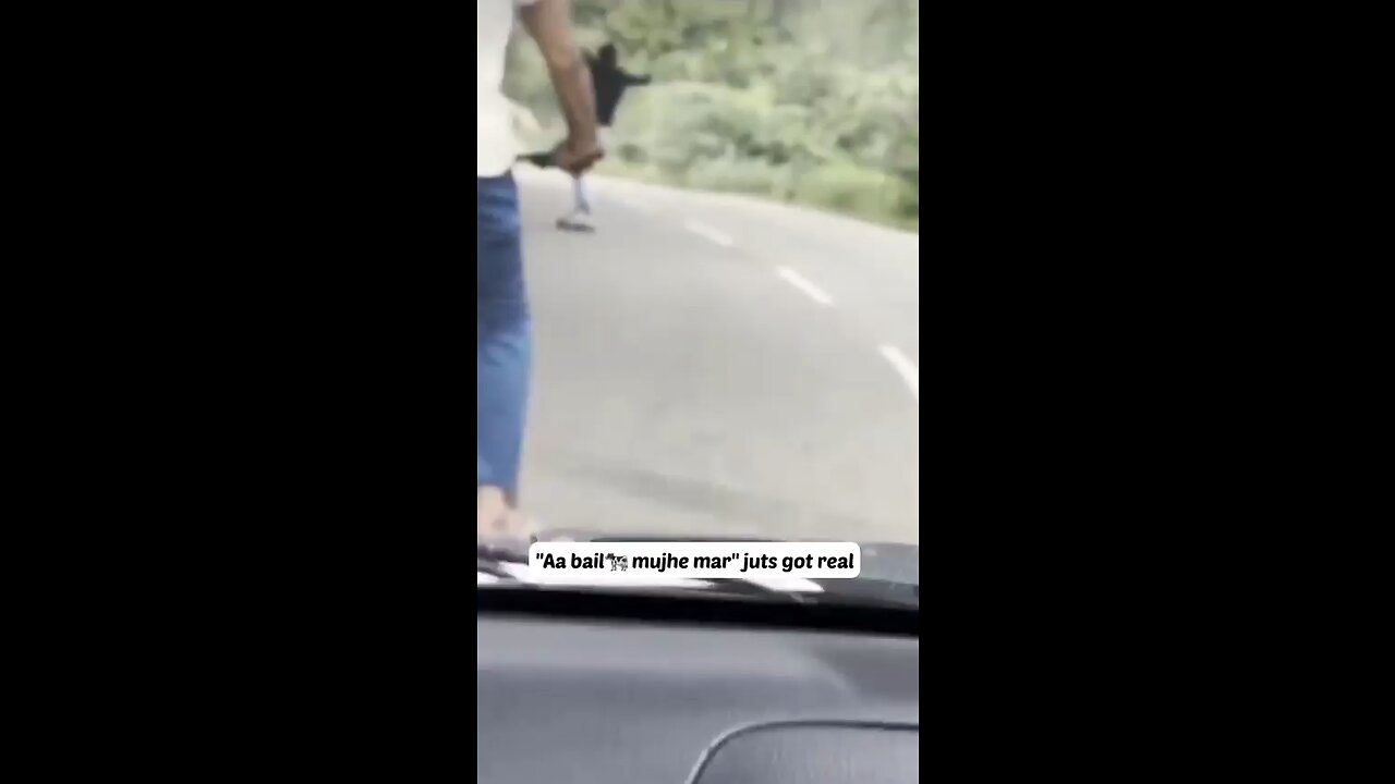 Must see end for fun😂😂