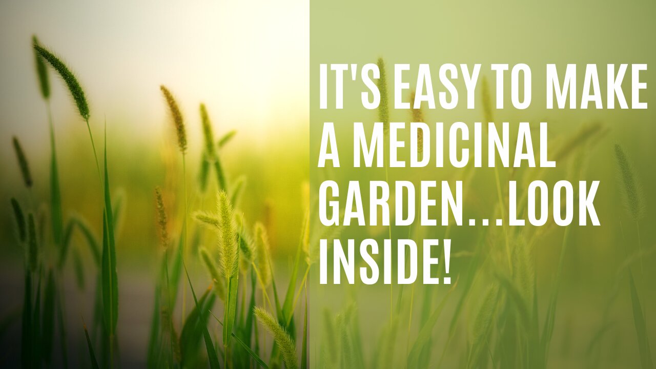 How to Make a Medicinal Garden Kit