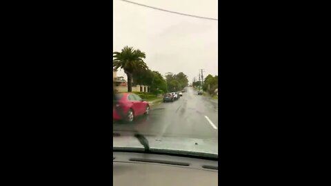 Gold Coast Storm #Shorts