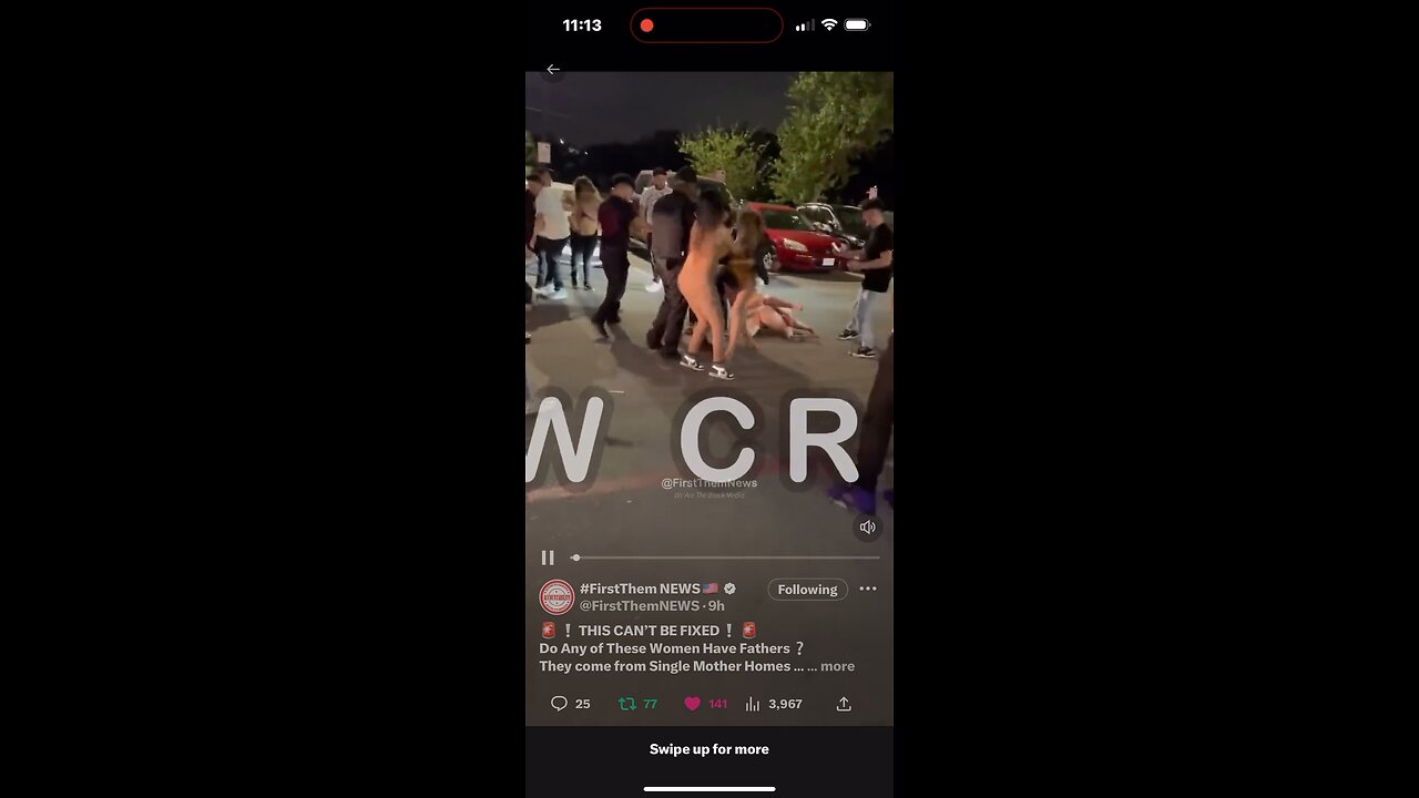 White Fight Phuckery