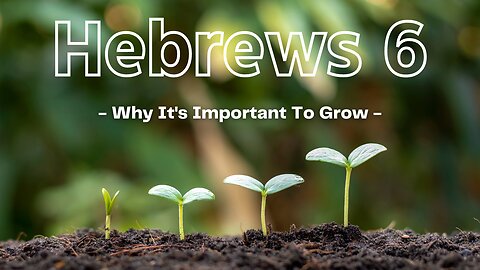 Hebrews 6: Why It's Important to Grow - Pastor Jonathan Shelley | Stedfast Baptist Church