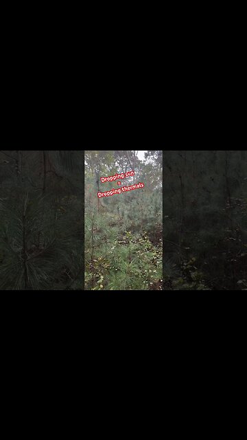 Dropping thermals #hunting #saddlehunting #deerhunting