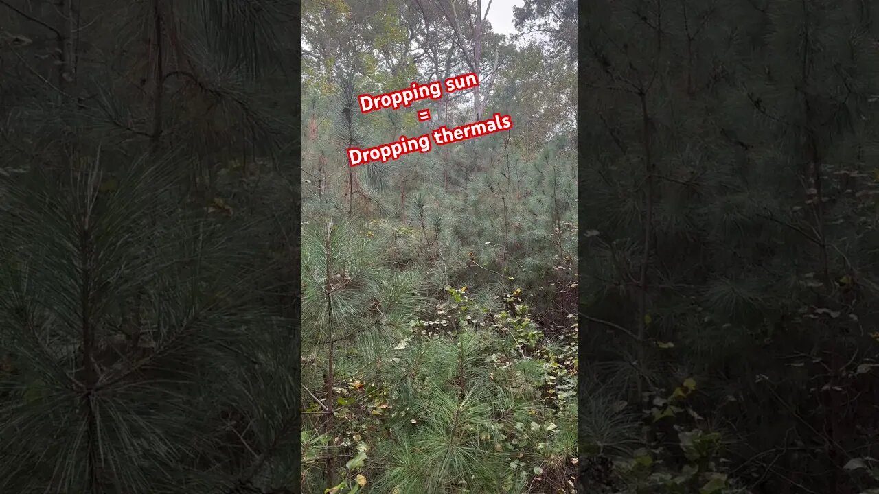 Dropping thermals #hunting #saddlehunting #deerhunting